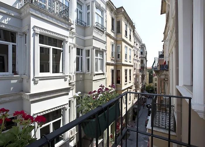 Snog & イスタンブール