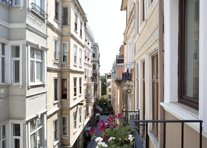 Snog & イスタンブール